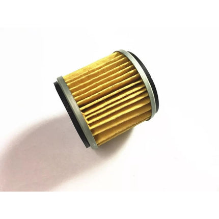 Filtro De Aceite Para Moto Benelli Tnt 25 Original