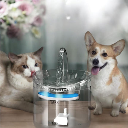 Fuente Bebedero Para Gatos Y Mascotas Automático