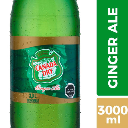 Bebida Ginger Ale Original Botella, 3 L