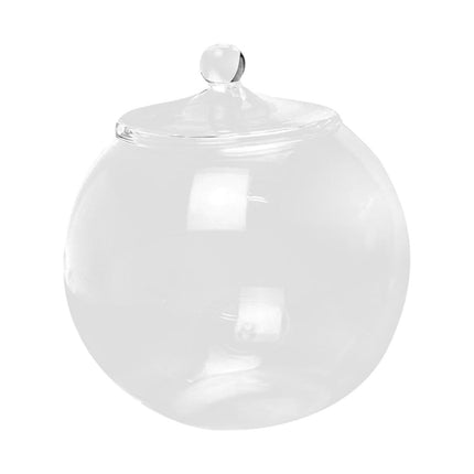Terrario De Vidrio Decorativo DIY 6,30 '' Tarro De Maceta Para Café De Azúcar De Chocolate