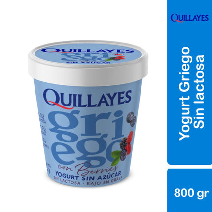 Yoghurt Griego sin Azúcar Sabor Berries Pote, 800 gr - Quillayes | Apishop