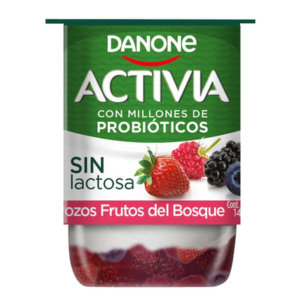 Yoghurt con Probiótico Sabor Frutos del Bosque Pote, 140 g | Apishop