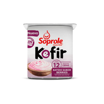 Yoghurt Kefir Sabor Berries Pote, 120 g | Apishop