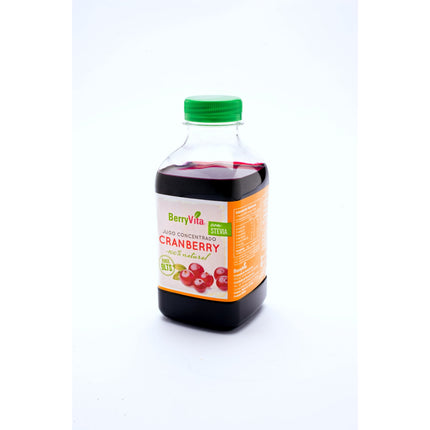 Concentrado Cranberry stevia 450 cc