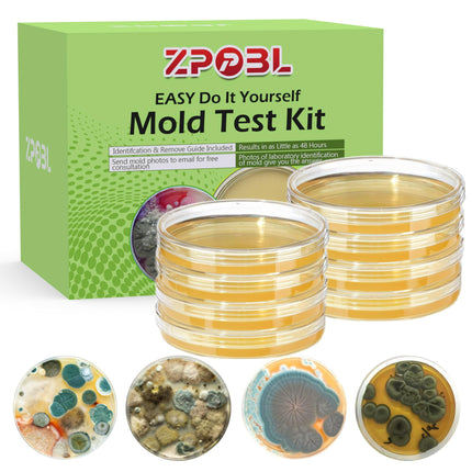 Kit de Prueba de Moho Zppbl 8 Pruebas Hogar