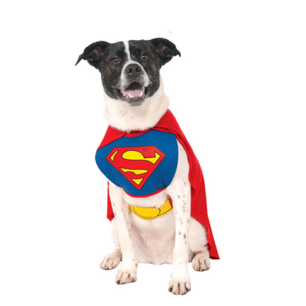 Disfraz de mascota, rubíes, superhéroes de DC Comics, Superman XL