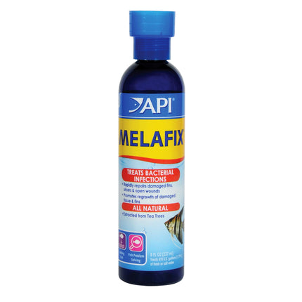 API MELAFIX Remedio para Infecciones Bacterianas en Peces de Agua Dulce Botella de 237 ml