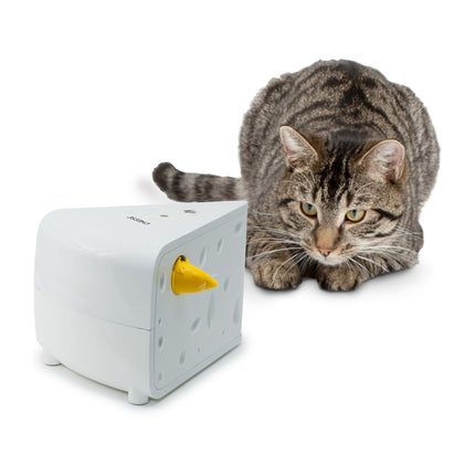 Queso interactivo para gatos