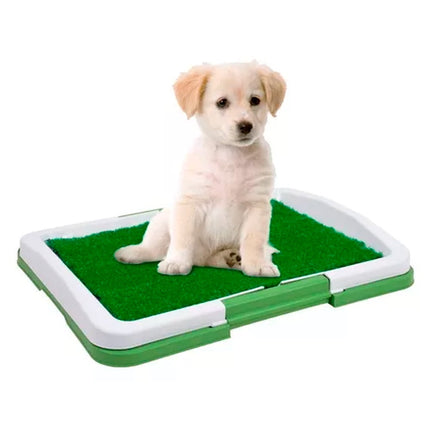Baño Para Perros Y Gatos Ecológico Mascotas Entrenamiento