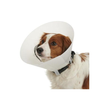 Collar Isabelino Para Mascotas Buster Classic 30 Cm