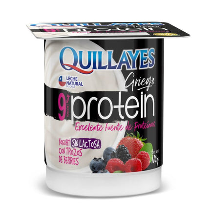 Yoghurt Griego Proteína con trozos sabor berries, 110 g | Apishop