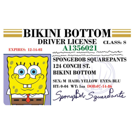 Novelty Card Signs 4 divertidas parodias carné de conducir de Bob Esponja