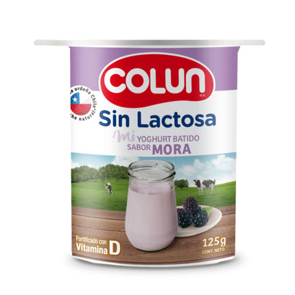 Yoghurt Batido Sin lactosa Sabor Mora Pote, 125 g - Colun | Apishop