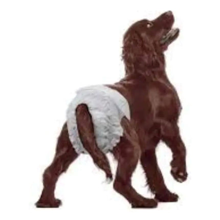 Pañales Desechable Para Perro Hembra 10 Unidades Talla Xl