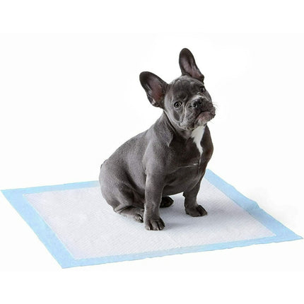 100 Pañales Tipo Sabanillas Mascotas Perros 45x60 Cms
