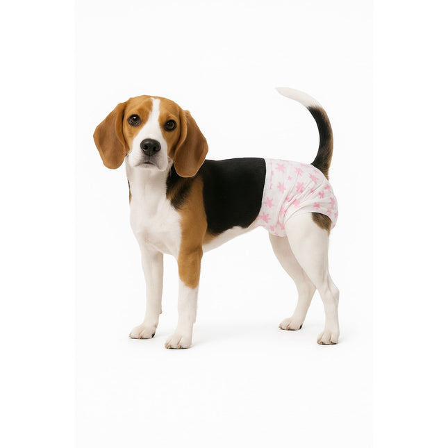 X10 Pañales Para Perros Pañales Para Perro Pañales Gato S