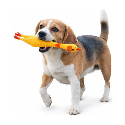 Juguete Perro Pollo Chillón L 41 cm Resistente