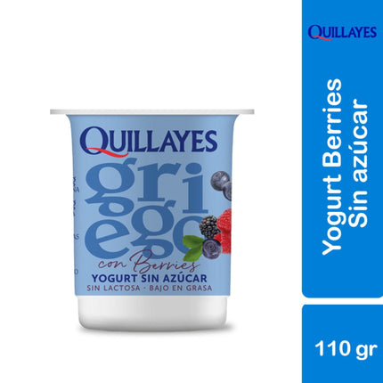 Yoghurt Griego Light con trozos Sabor Berries Pote, 110 g | Apishop