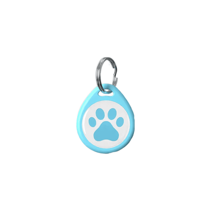 Placa Identificación Idtag Para Mascotas Gato Perro - Celeste