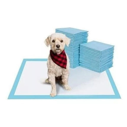 160 Pañales Tipo Sabanillas Mascotas Perros Y Gatos 60x60 Cm