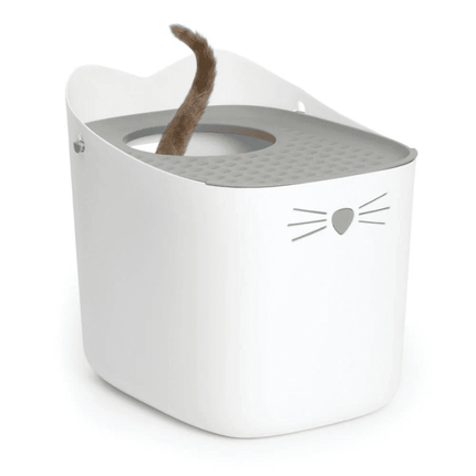 Pixi Baño Cerrado Gatos