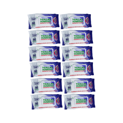 Pack 12 Toallitas Desinfectantes Teddy 960 Unidades