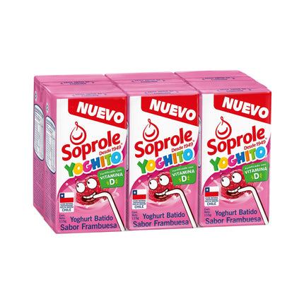 Yoghurt Batido Sabor Frambuesa Pack 6 Caja, 690 g | Apishop