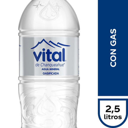 Agua Mineral Vital Gasificada 2.5 L