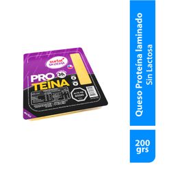 Queso Gauda Proteína Sin Lactosa Surlat Laminado 200g