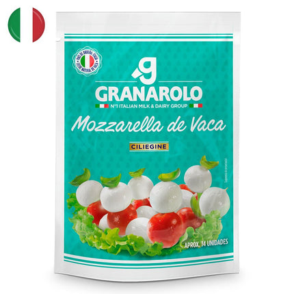 Queso Mozzarella Granarolo Envasado Trozo 125 g