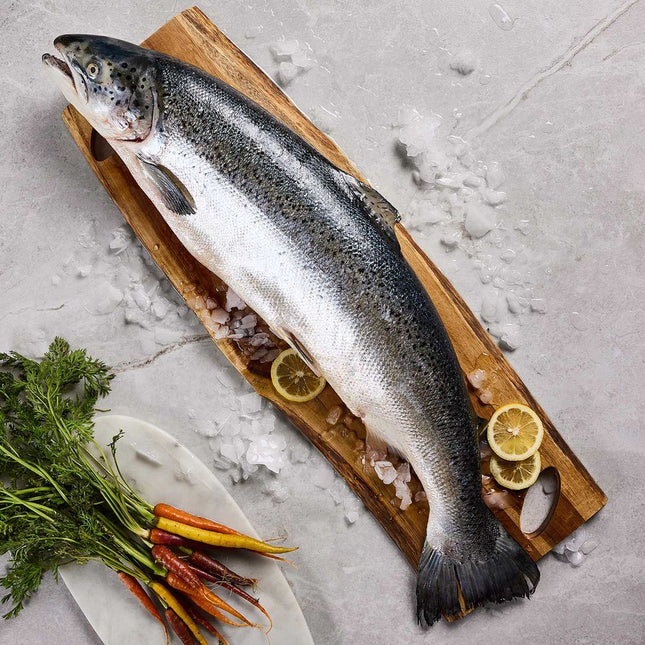 Salmón Entero Fresco Granel