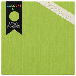 Servilletas Soft Color Verde Claro 40 un.