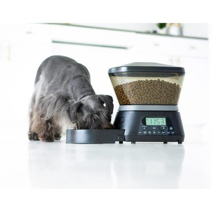 Dispensador De Alimentos Para Mascotas Automático negro