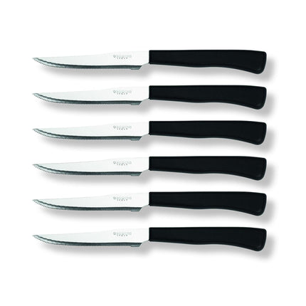 Set 6 Cuchillos Carne Daily