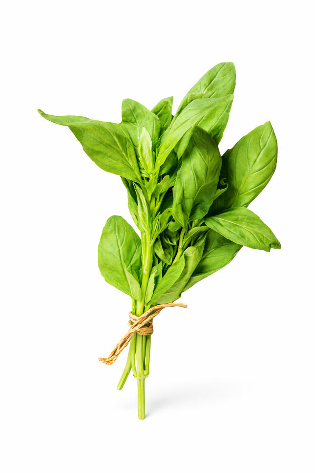 Albahaca "Mata" | Vegago Chile
