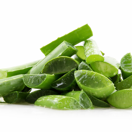 Aloe Vera Deshidratado | Vegago Chile