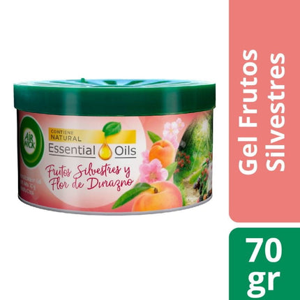 Desodorante Ambiental Gel en Lata Frutos Silvestres y Flor de Durazno, 70 g