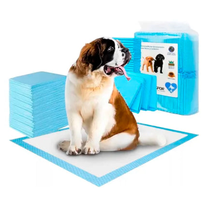 120 Pañales Sabanillas Mascotas Perros Y Gatos 60x60cm Aspor