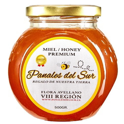 Frasco Miel De Abeja Viii Región Flora avellano, 500 g
