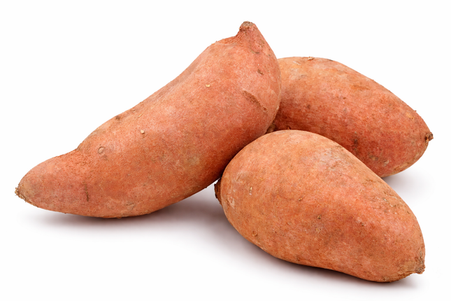 Camote | Vegago Chile