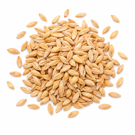 Cebada 100g, Apishop