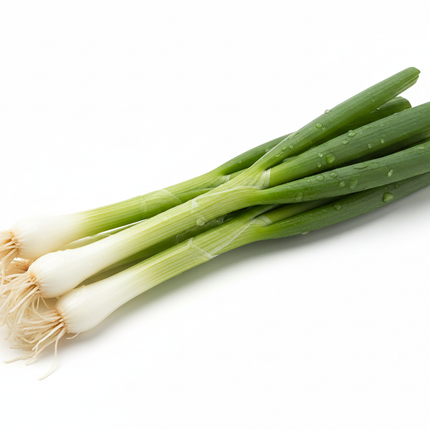 Cebollín | Vegago Chile