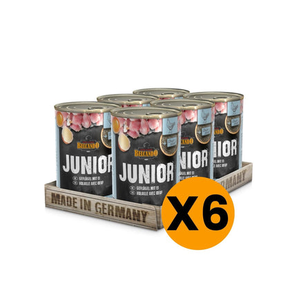 Display 6 unidades Alimento Super Premium Para Perros Sabor Pollo y Huevo 400 GR