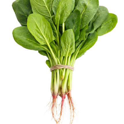 Espinaca
