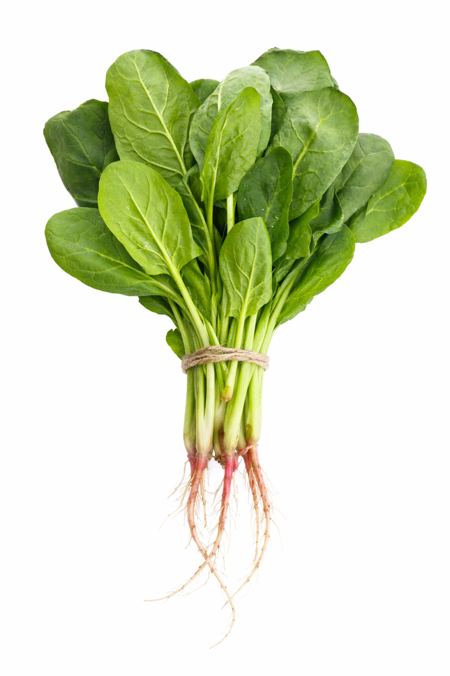 Espinaca