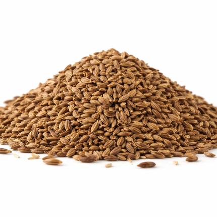 Semilla Estragón 100 gramos | Vegago Chile