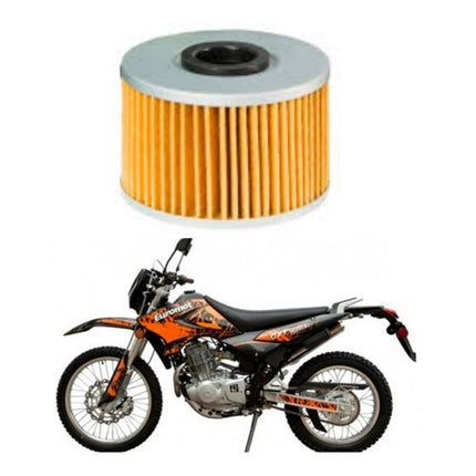 Filtro De Aceite Para Euromot Gxt 250