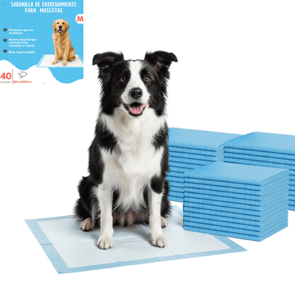40 Pañales Sabanillas Entrenamiento Absorbentes Mascota Perros 60x60cm