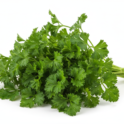 Perejil | Vegago Chile