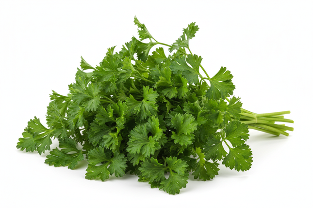Perejil | Vegago Chile